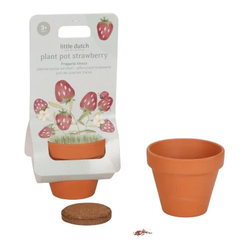 Kit à planter - Fraises
