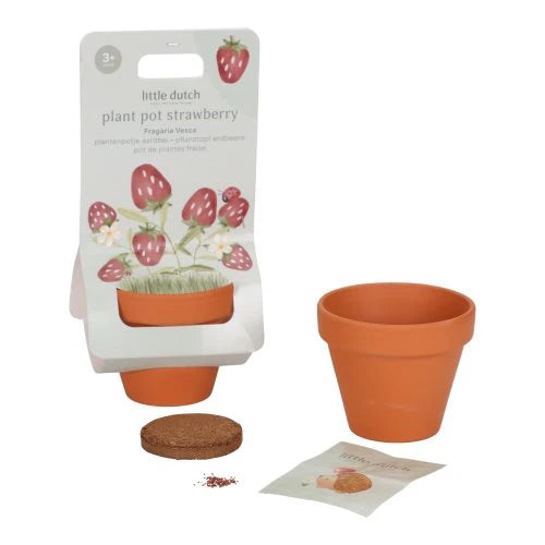 Kit à planter - Fraises