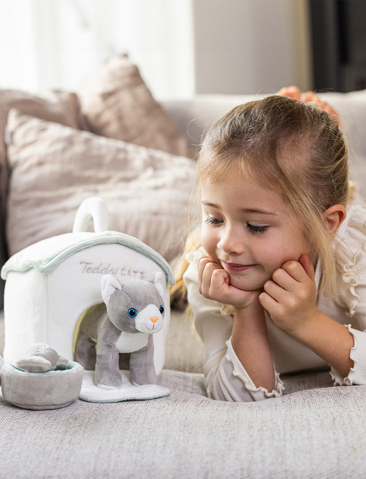 Chat avec niche et accessoires