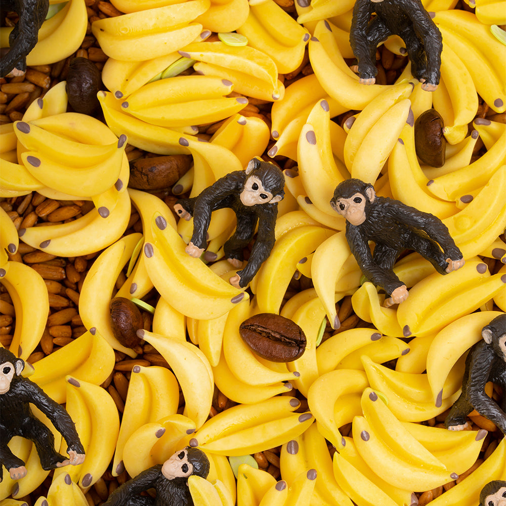 Bouteille sensorielle singe