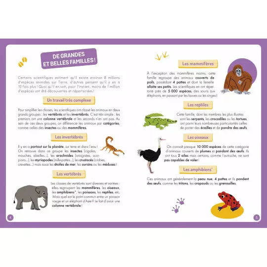 A la découverte des animaux du monde