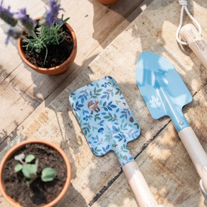 Kit à planter - Fraises