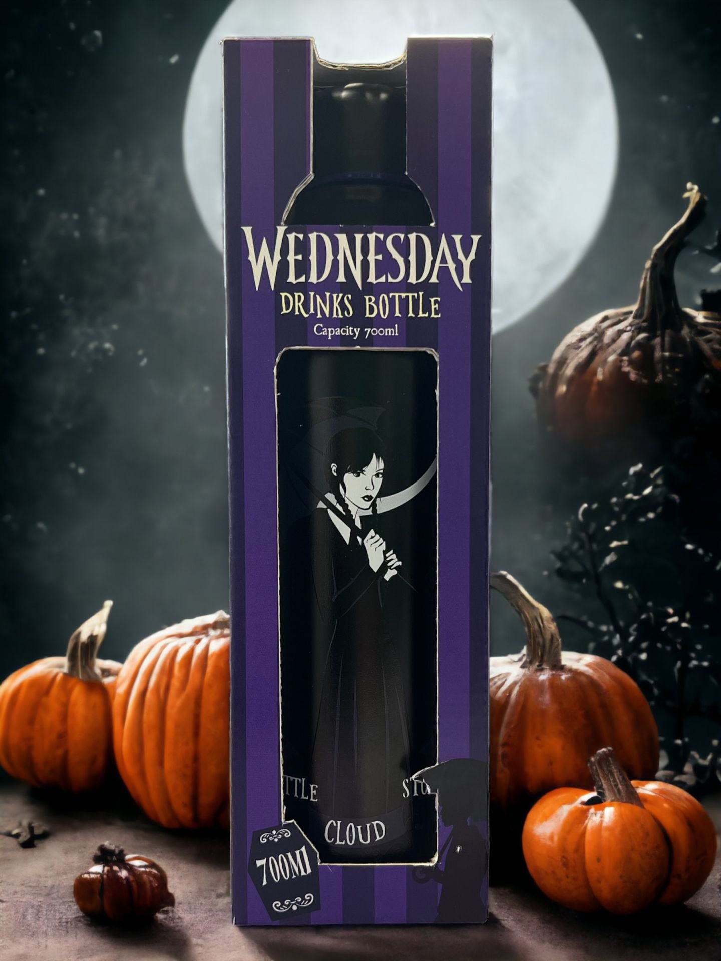Gourde isotherme "Wednesday" 700ml