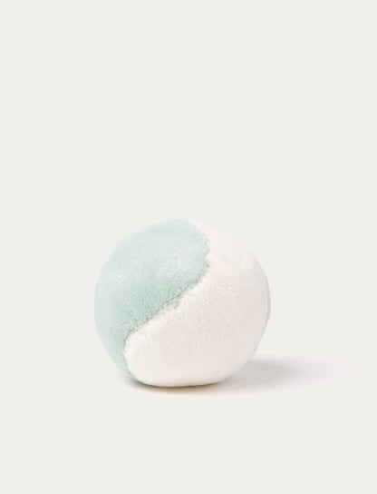 Chat avec niche et accessoires