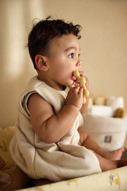 Anneau de Dentition - Sun