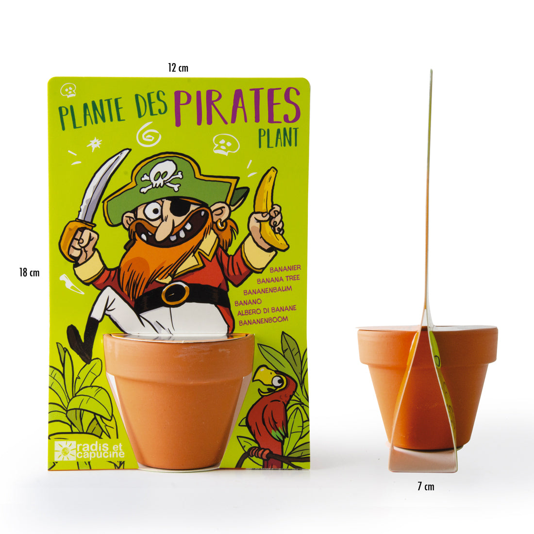 Pirate et son Bananier à semer