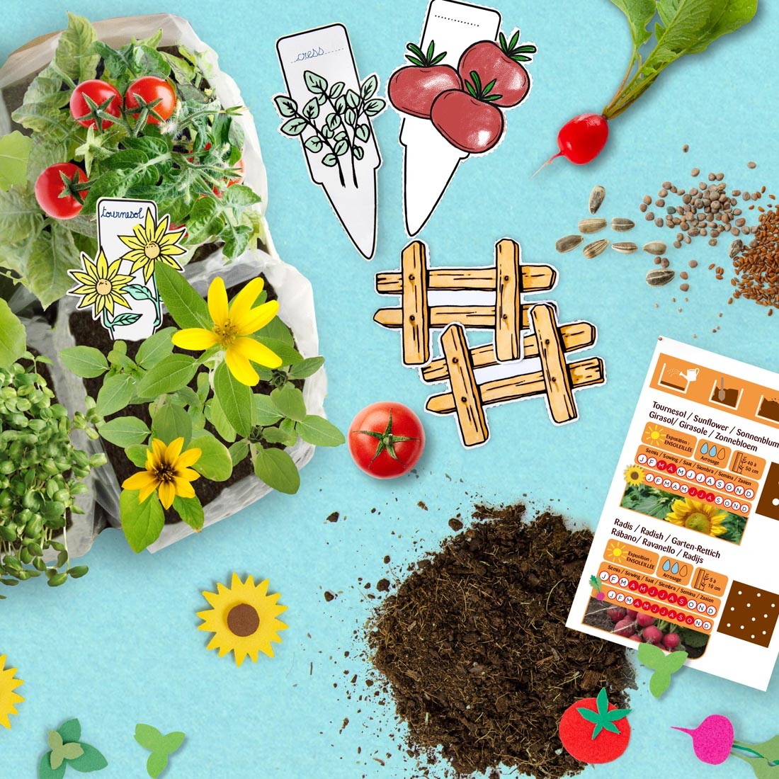 Atelier jardinage enfant Mini Potager