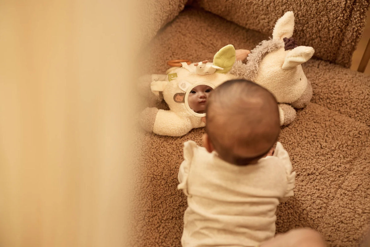 Peluche d’Activités - Donkey Dinky