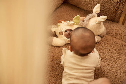 Peluche d’Activités - Donkey Dinky
