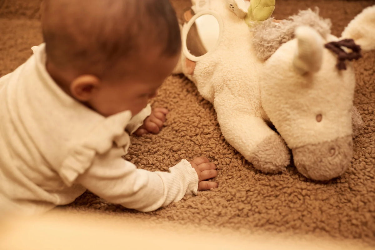 Peluche d’Activités - Donkey Dinky
