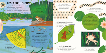 Les cycles de la vie – Animaux et plantes
