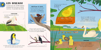 Les cycles de la vie – Animaux et plantes