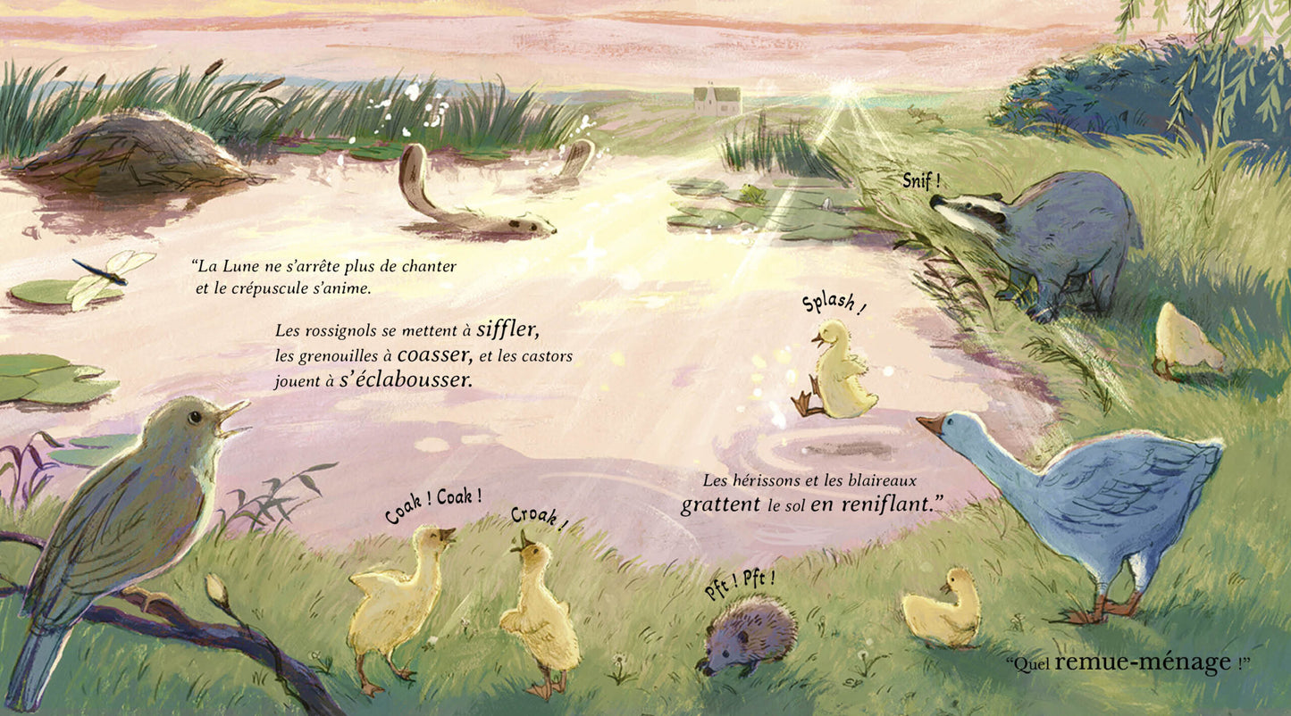 La berceuse de la lune