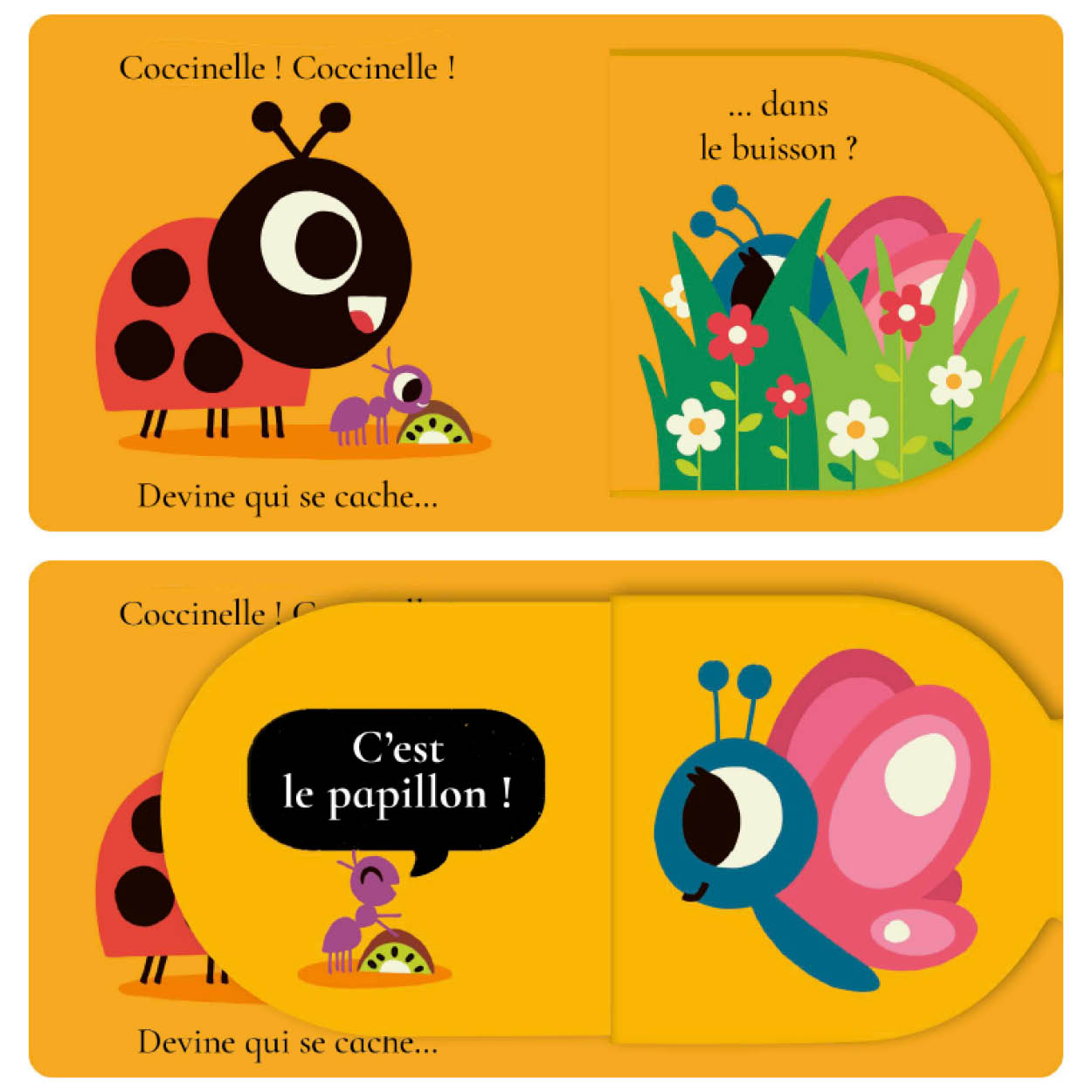 Coccinelle coccinelle, devine qui se cache ?