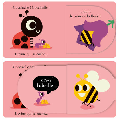 Coccinelle coccinelle, devine qui se cache ?