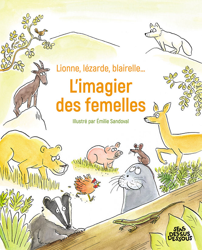 Lionne, lézarde, blairelle… L’imagier des femelles