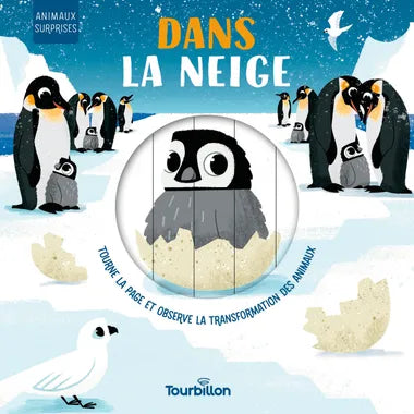 Livre "Dans la neige"