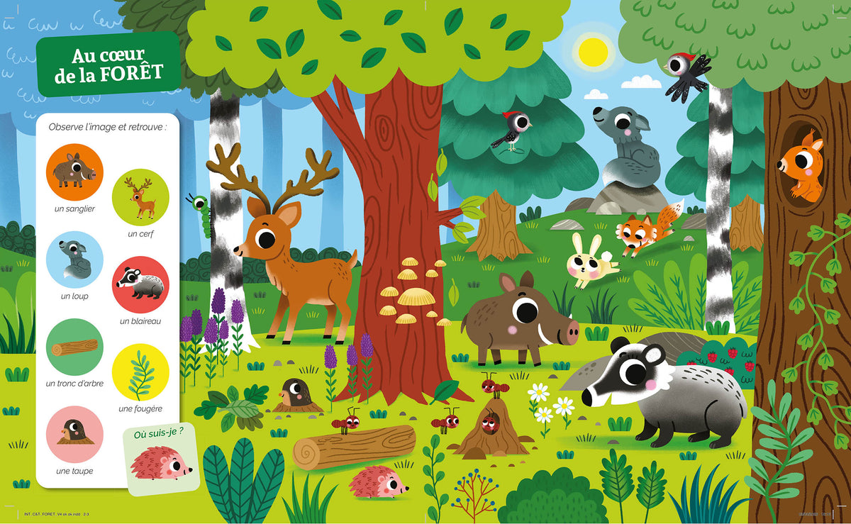 CHERCHE ET TROUVE DES TOUT-PETITS - DANS LA FORÊT