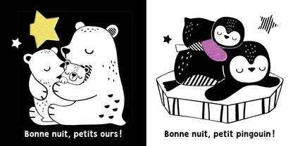 MES PREMIERS FLAPS - AU DODO