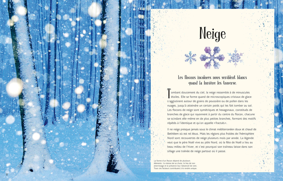 L'ANTHOLOGIE ILLUSTRÉE DE NOËL