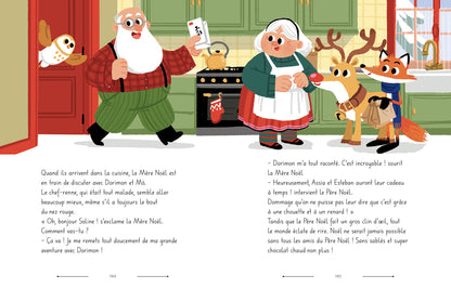 MON ALBUM DE L'AVENT - LES AVENTURES SECRÈTES DE NOËL