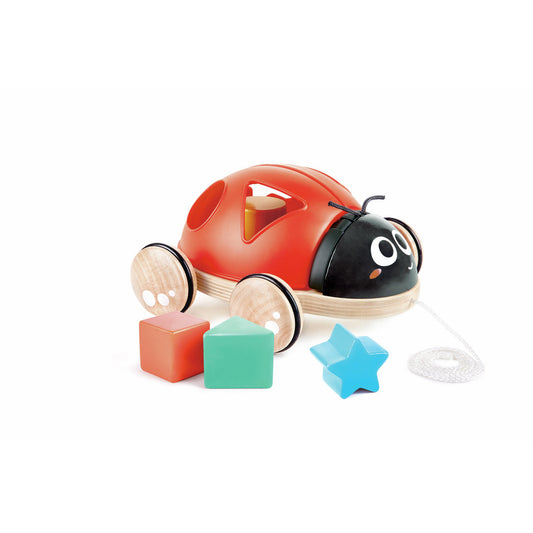 Coccinelle trieuse de forme
