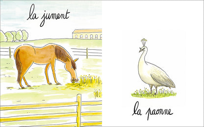 Lionne, lézarde, blairelle… L’imagier des femelles