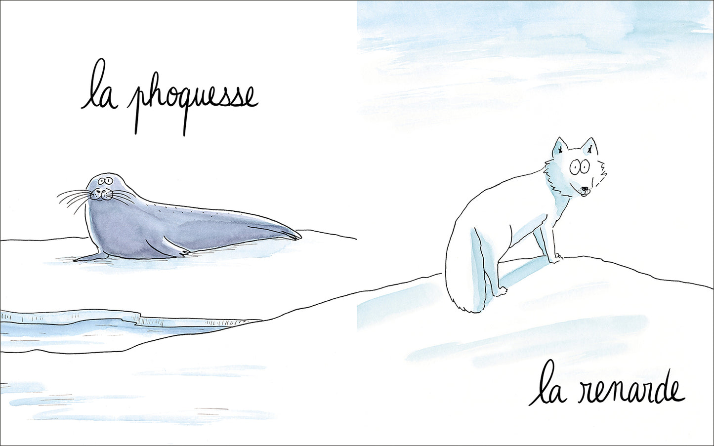 Lionne, lézarde, blairelle… L’imagier des femelles