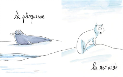 Lionne, lézarde, blairelle… L’imagier des femelles