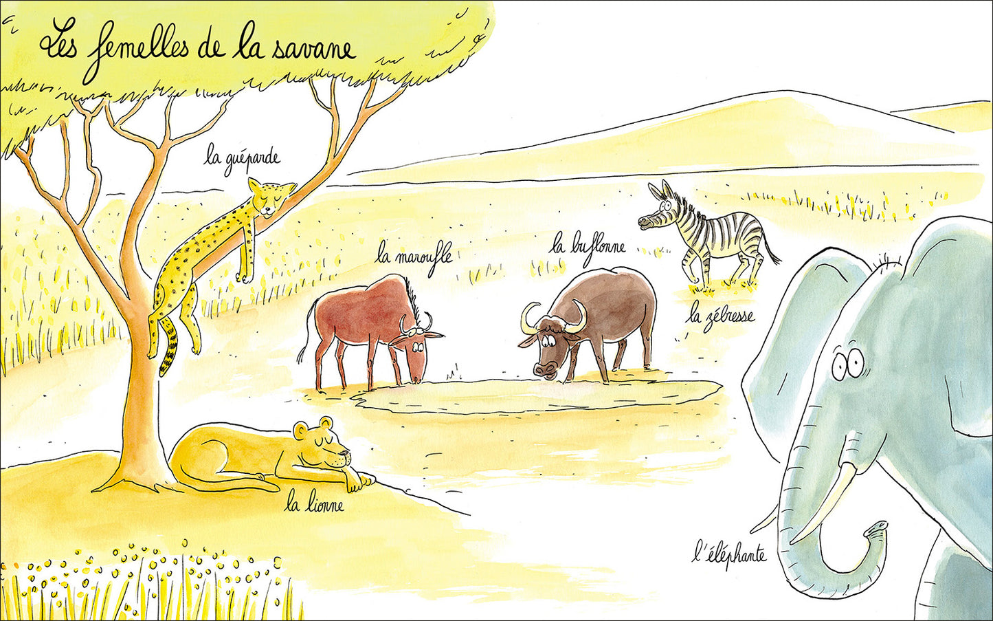 Lionne, lézarde, blairelle… L’imagier des femelles