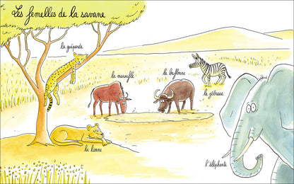 Lionne, lézarde, blairelle… L’imagier des femelles