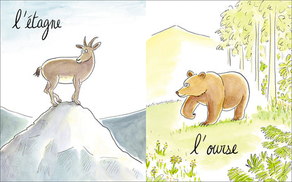 Lionne, lézarde, blairelle… L’imagier des femelles