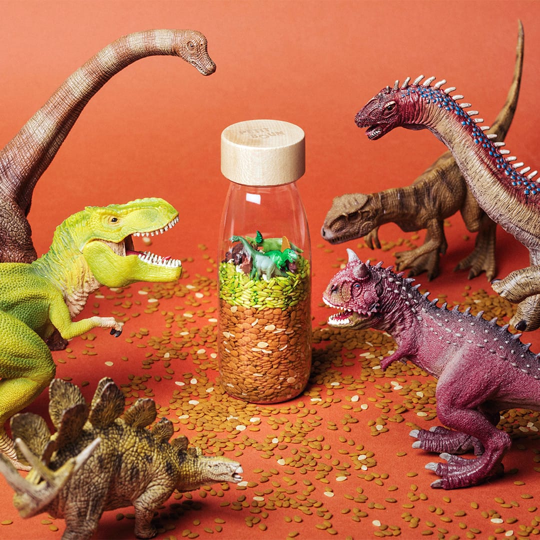 Bouteille sensorielle Jurassic
